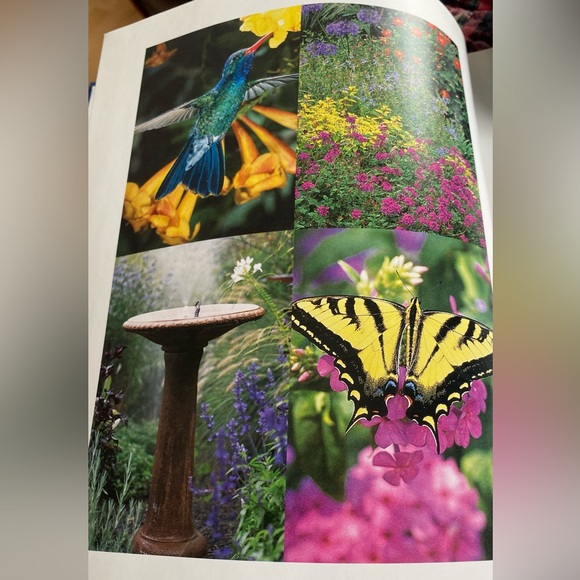 Beautiful hardcover book - Attracting Butterflies & Hummingbirds - Picture 5 of 5